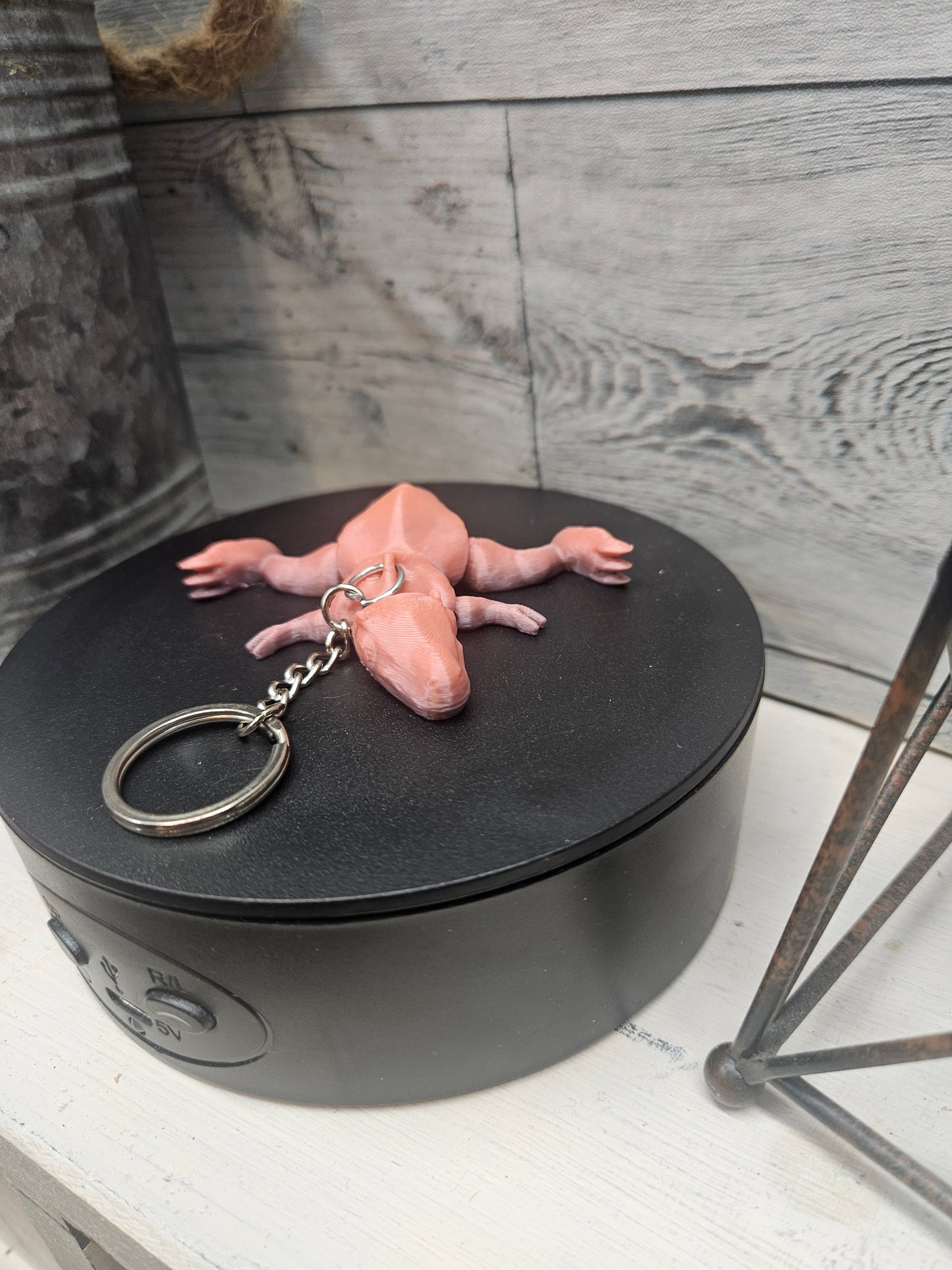 T-Rex Key Chain