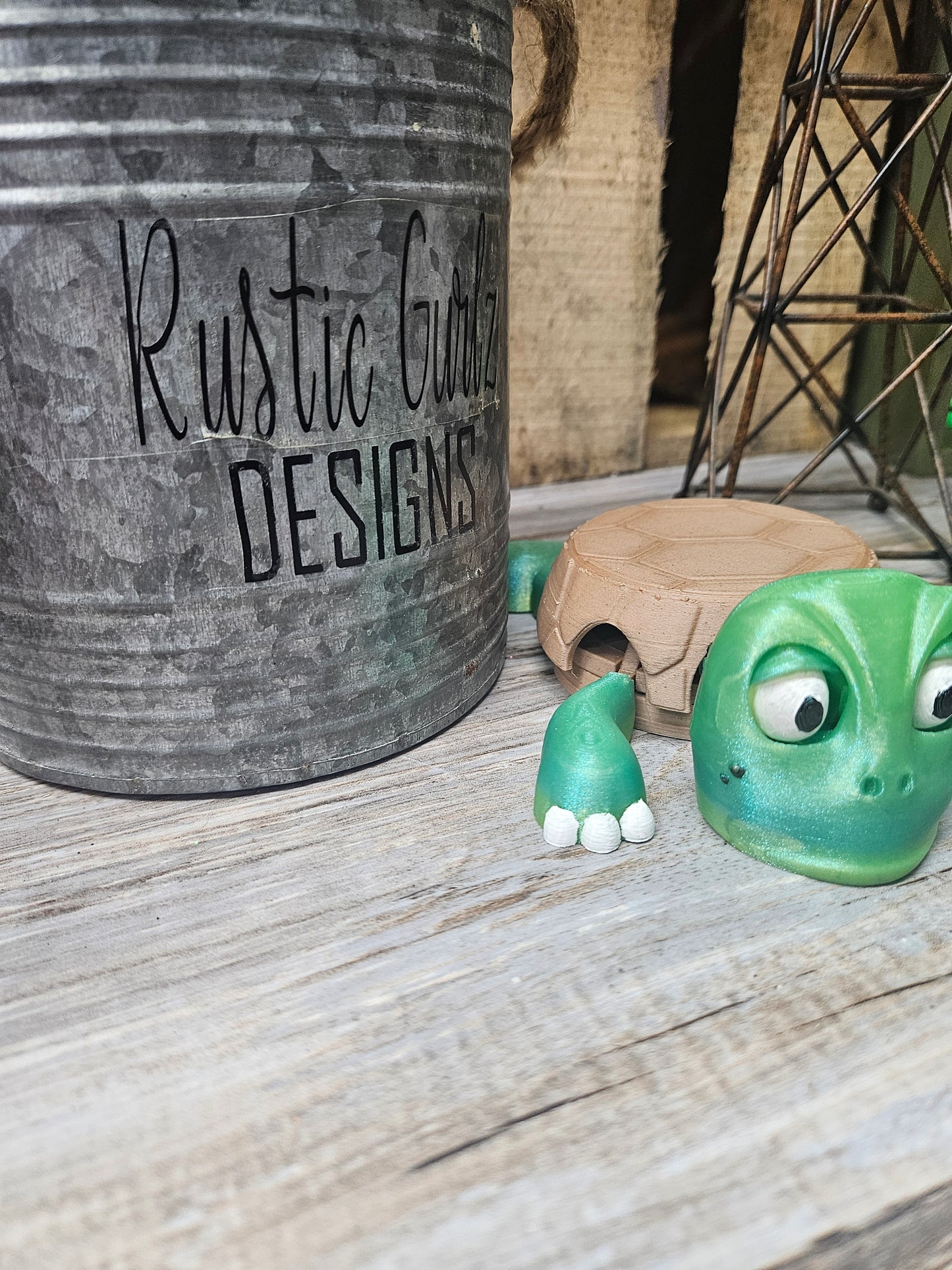 Turtle Coaster