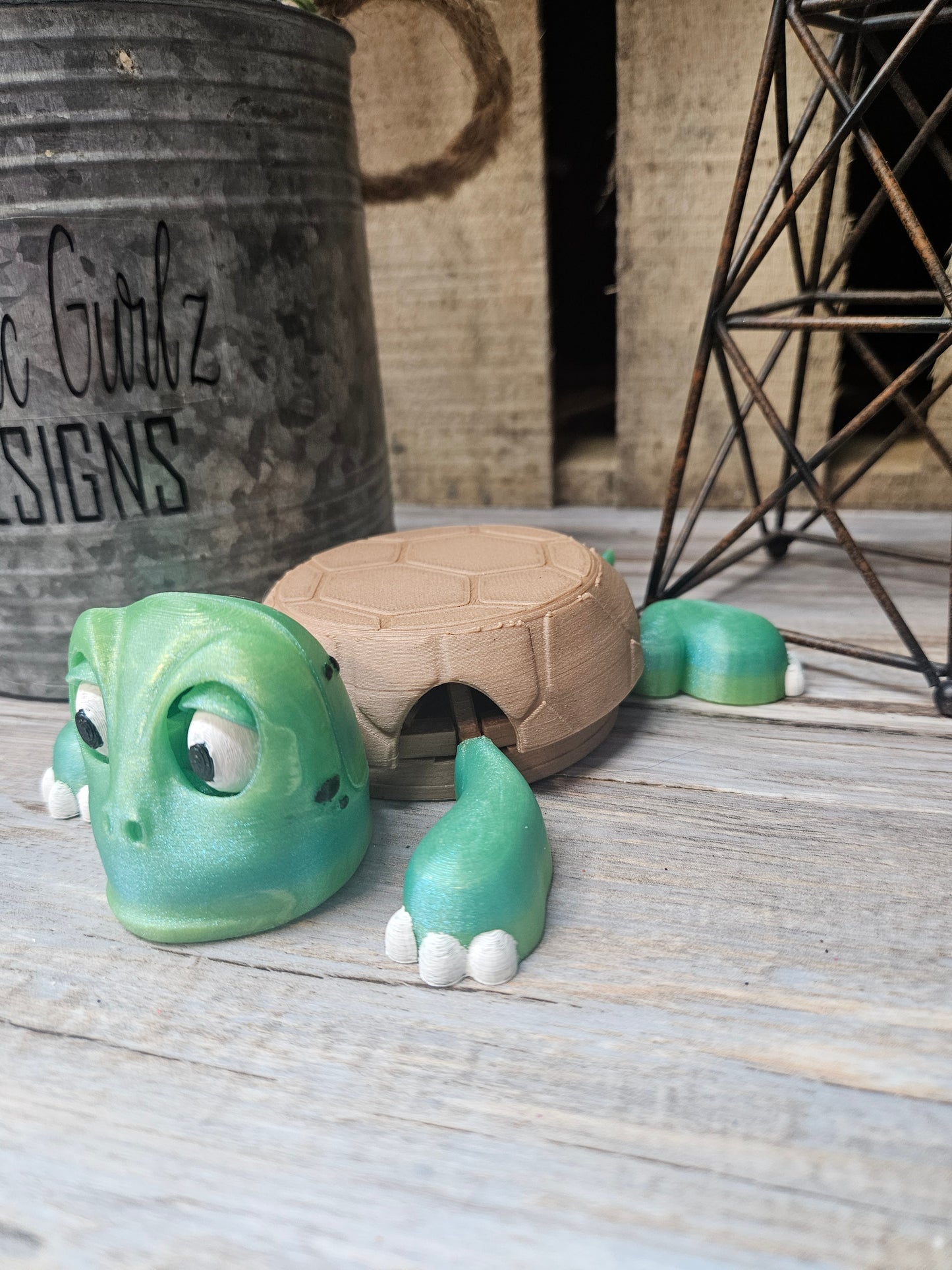 Turtle Coaster