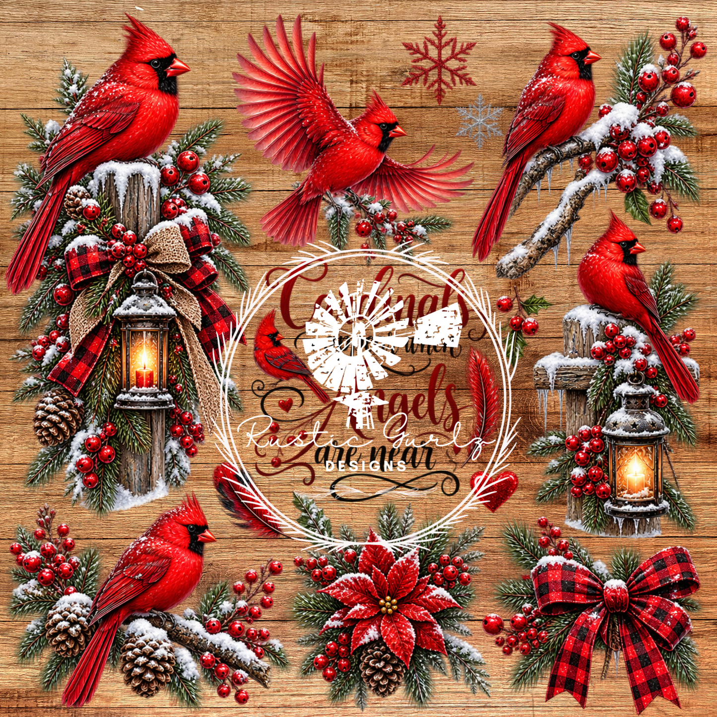 Cardinals Appear When Angels Are Near