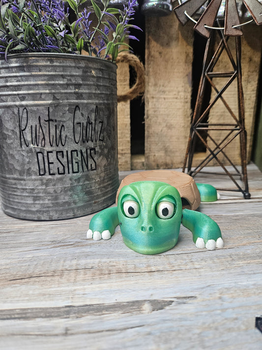 Turtle Coaster