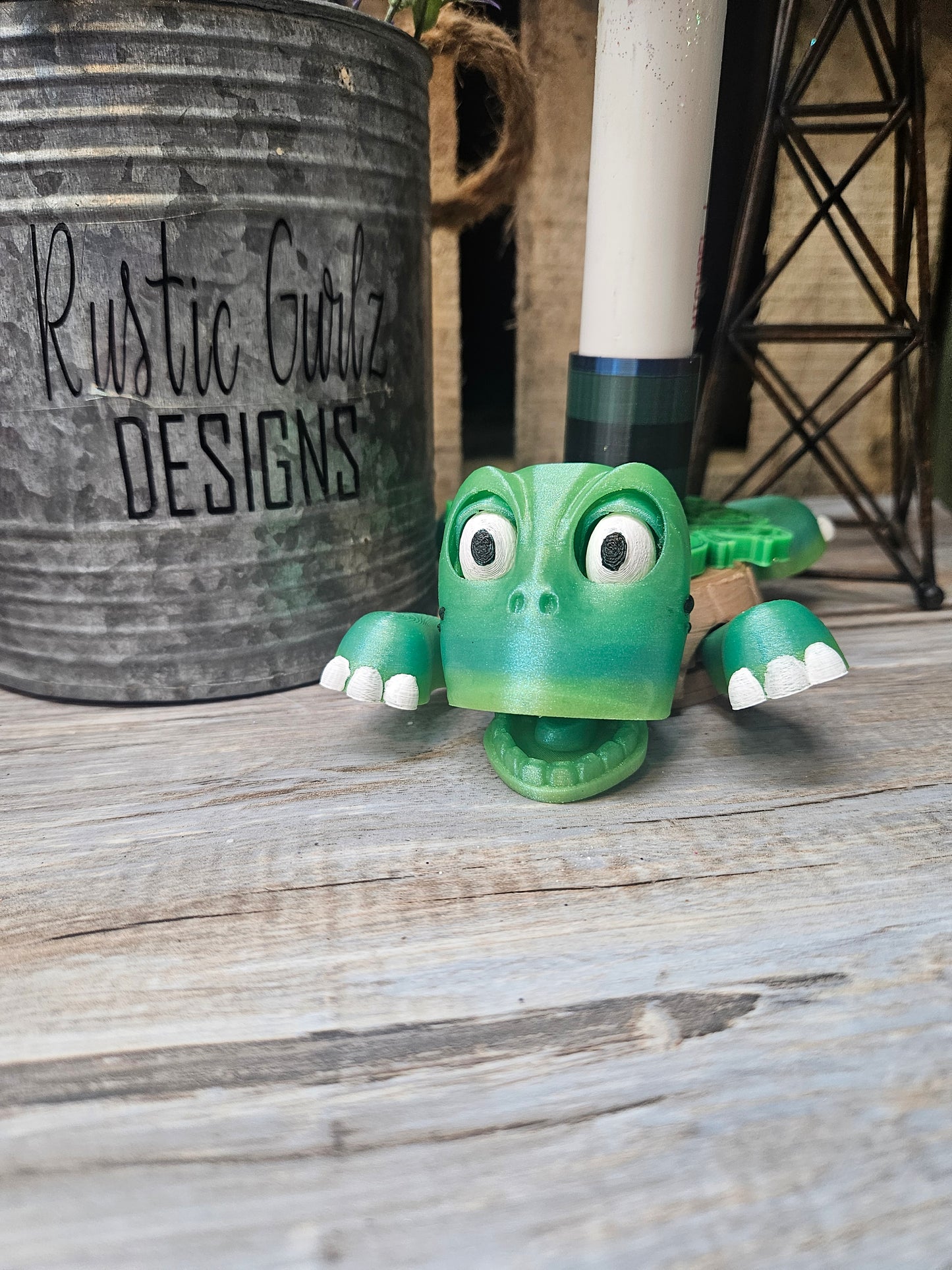 Turtle Coaster