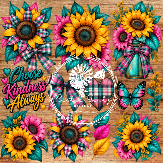Choose Kindness Always