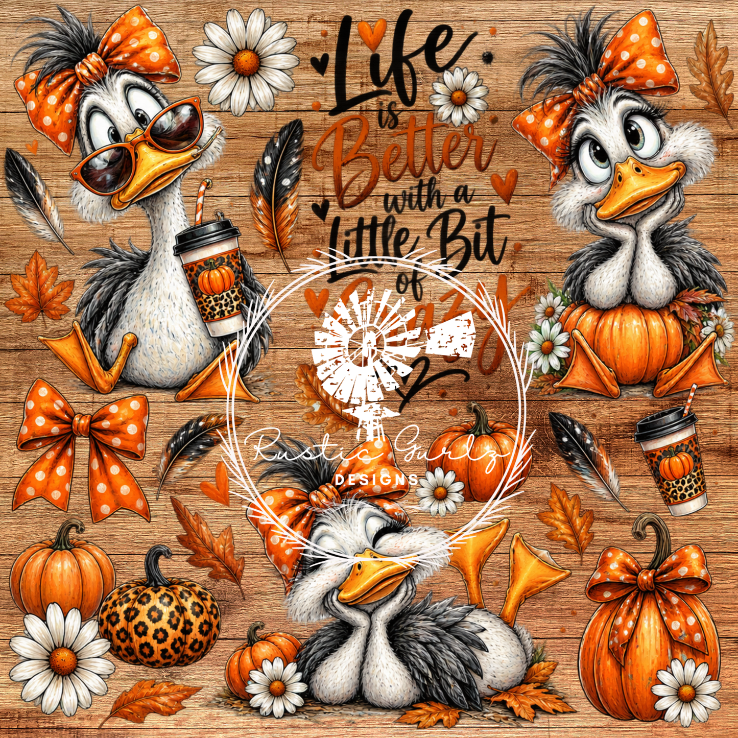 Life is better with a Little Bit of CRAZY