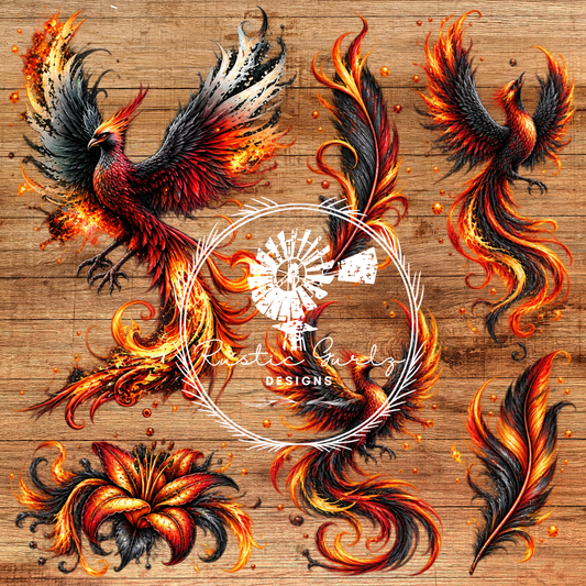 Orange and Black Pheonix